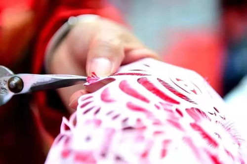 寶雞岐山轉(zhuǎn)鼓將代表家鄉(xiāng)爭奪 陜西省民間文化藝術(shù)之鄉(xiāng) 稱號(hào)